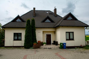 Apasjonata, Świdnica